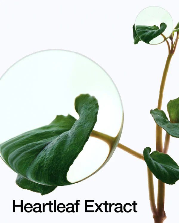 Anua Heartleaf 77% soothing toner - Glamorush